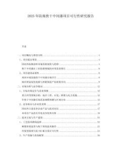 2025年防腐快干中間漆項目可行性研究報告