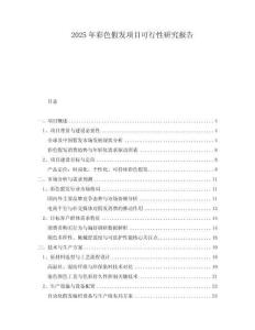 2025年彩色假發(fā)項目可行性研究報告