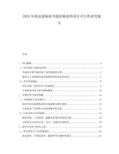 2025年熱反射隔熱節(jié)能防腐涂料項目可行性研究報告