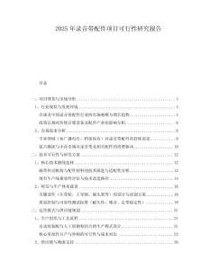 2025年錄音帶配件項(xiàng)目可行性研究報(bào)告