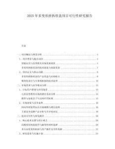 2025年多變形拼拆組盒項(xiàng)目可行性研究報(bào)告