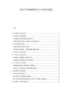 2025年話梅棒糖項(xiàng)目可行性研究報(bào)告