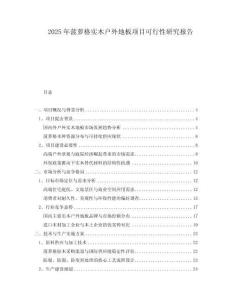 2025年菠蘿格實木戶外地板項目可行性研究報告