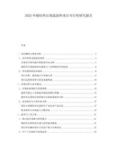2025年硬硅鈣石保溫涂料項目可行性研究報告