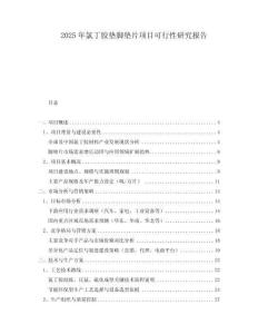 2025年氯丁膠墊腳墊片項目可行性研究報告
