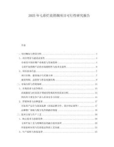 2025年七彩爛花綃綢項目可行性研究報告