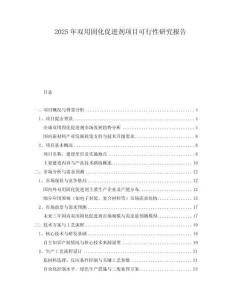 2025年雙用固化促進(jìn)劑項(xiàng)目可行性研究報(bào)告