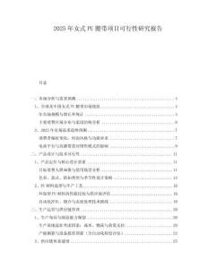 2025年女式PU腰帶項目可行性研究報告