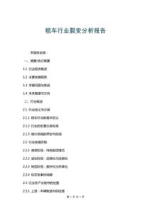 租車(chē)行業(yè)裂變分析報(bào)告