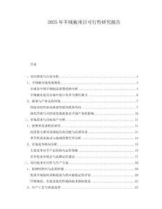 2025年羊絨被項目可行性研究報告