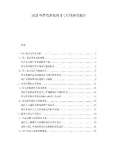 2025年薩克斯包項目可行性研究報告