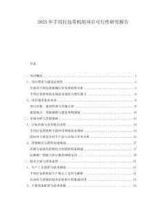 2025年手用打包帶機(jī)組項(xiàng)目可行性研究報(bào)告