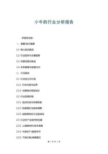 小牛的行業分析報告