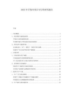 2025年手鉤巾項目可行性研究報告