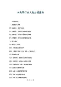 水电站行业人物分析报告