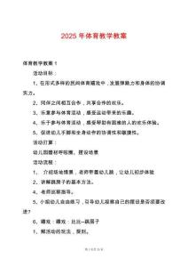 2025年體育教學(xué)教案