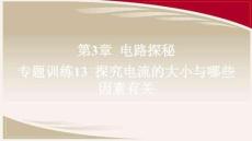 浙教 八年級(jí)科學(xué)上冊(cè) B本-第3章 電路探秘-專題訓(xùn)練13 探究電流的大小與哪些因素有關(guān)