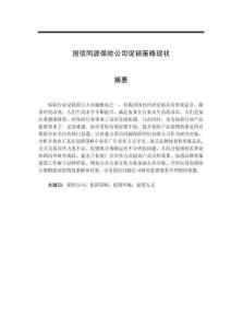 國信同源保險(xiǎn)公司促銷策略現(xiàn)狀