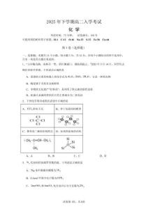 2025年下學期高二入學考試-化學試卷（含詳細答案）