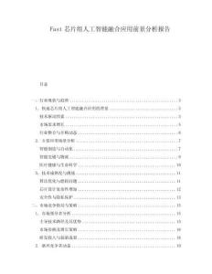 Fast芯片組人工智能融合應用前景分析報告