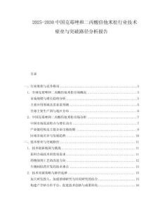 2025-2030中國克霉唑和二丙酸倍他米松行業(yè)技術(shù)壁壘與突破路徑分析報(bào)告