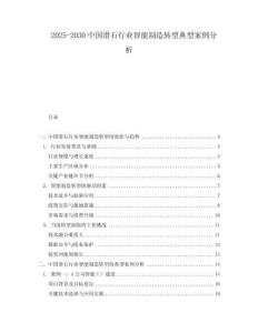 2025-2030中國滑石行業(yè)智能制造轉(zhuǎn)型典型案例分析