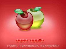 迎接我們新的一年(“要求”文檔)共14張