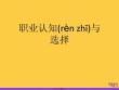 職業(yè)認知與選擇優(yōu)選ppt資料