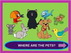 （9頁PPT）方位詞pets