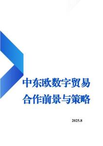 2025年中東歐數字貿易合作前景與策略報告