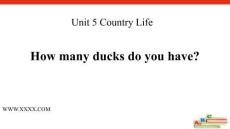 1How many ducks do you have？-英語課件