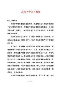 2025年作文：晚歸