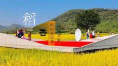 稻田音樂節(jié)活動方案