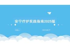 安寧療護(hù)實(shí)踐指南2025版培訓(xùn)課件(1)