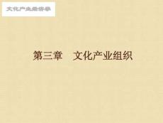 文化產(chǎn)業(yè)經(jīng)濟(jì)學(xué)第3章文化產(chǎn)業(yè)組織