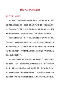 他生氣了作文優(yōu)選份