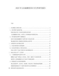 2025年五水硫酸鎂項(xiàng)目可行性研究報(bào)告