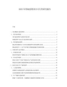 2025年帶柄套銼項目可行性研究報告
