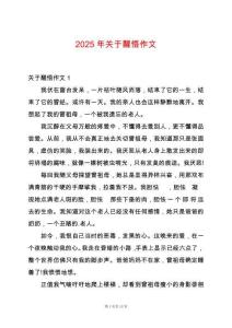 2025年關(guān)于醒悟作文