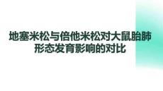地塞米松與倍他米松對(duì)大鼠胎肺形態(tài)發(fā)育影響的對(duì)比