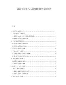 2025年短袖Polo衫項(xiàng)目可行性研究報(bào)告