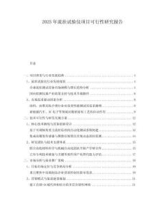 2025年流掛試驗(yàn)儀項(xiàng)目可行性研究報告