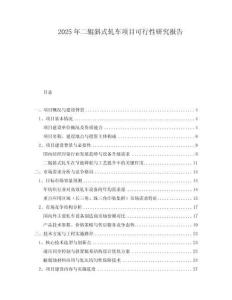 2025年二輥斜式軋車項(xiàng)目可行性研究報告