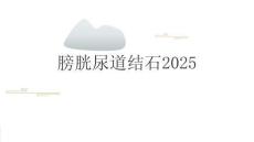 膀胱尿道结石2025