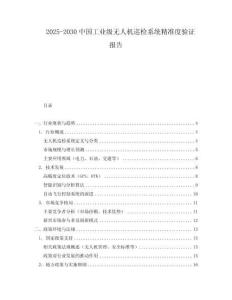 2025-2030中國工業(yè)級無人機巡檢系統(tǒng)精準度驗證報告