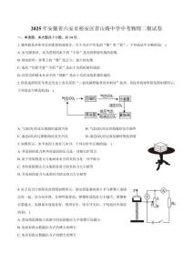 2025年安徽省六安市裕安區(qū)青山路中學(xué)中考物理二模試卷