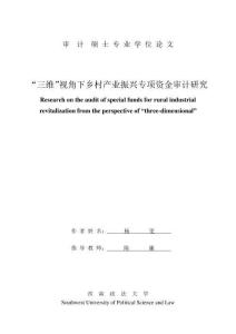 “三維”視角下鄉(xiāng)村產(chǎn)業(yè)振興專項(xiàng)資金審計(jì)研究