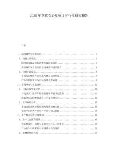 2025年草莓卷心酥項(xiàng)目可行性研究報(bào)告