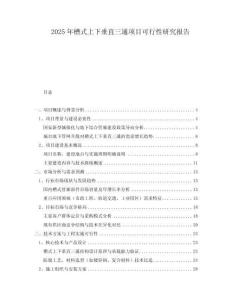 2025年槽式上下垂直三通項目可行性研究報告