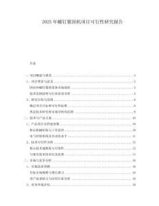 2025年螺釘緊固機(jī)項(xiàng)目可行性研究報告